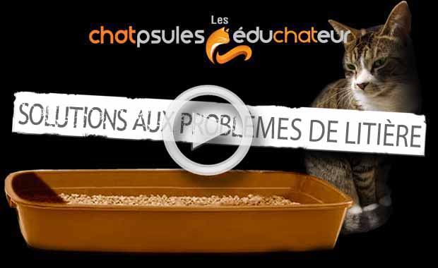 Problème litière