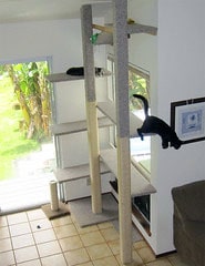 installations-intérieur-chats