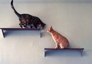 chat-tablette-murale