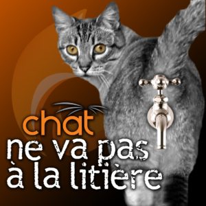 Chat-pipi-partout