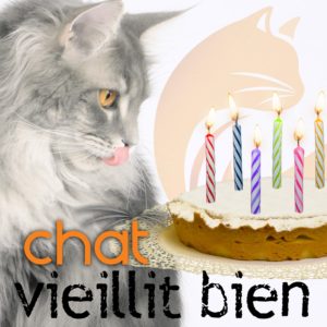 chat-senior-bien-etre