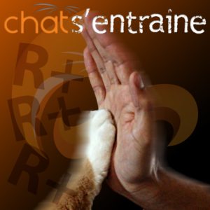 Chat-entrainement-clicker
