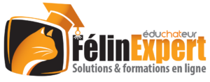 Plateforme de cours comportement du chat