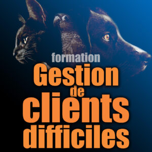 Formation gestion de clients difficiles